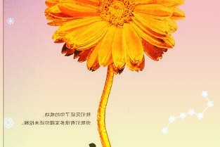滇池水务03768终止以BOT模式投资建设老挝金三角自来水厂及污水处理厂